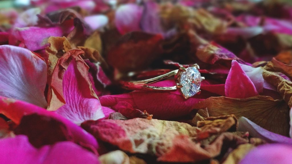 plantarea butasilor de trandafir