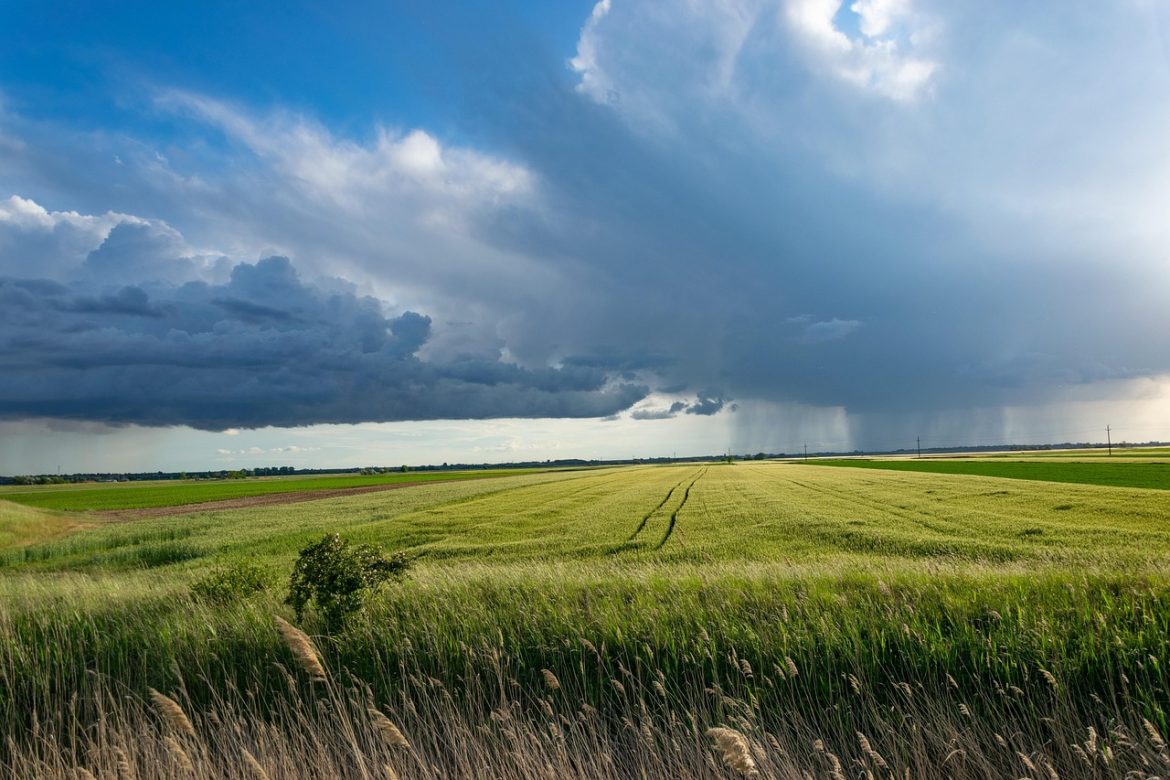 ce inseamna inputuri agricole