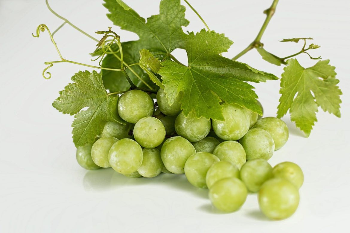 soiuri de struguri parfumati