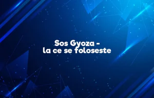 sos gyoza la ce se foloseste