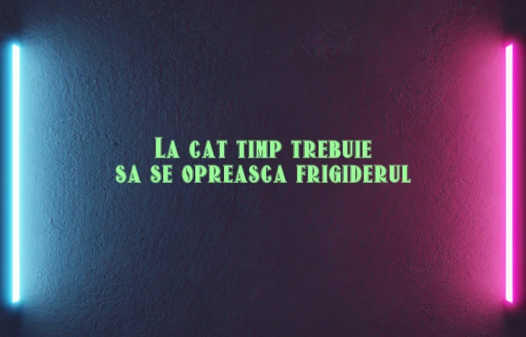 la cat timp trebuie sa se opreasca frigiderul