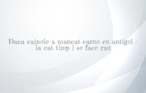 daca cainele a mancat carne cu antigel la cat timp i se face rau