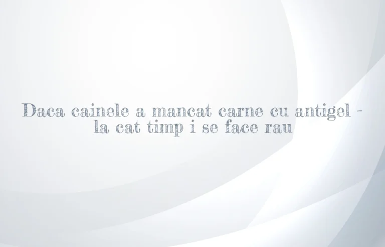 daca cainele a mancat carne cu antigel la cat timp i se face rau