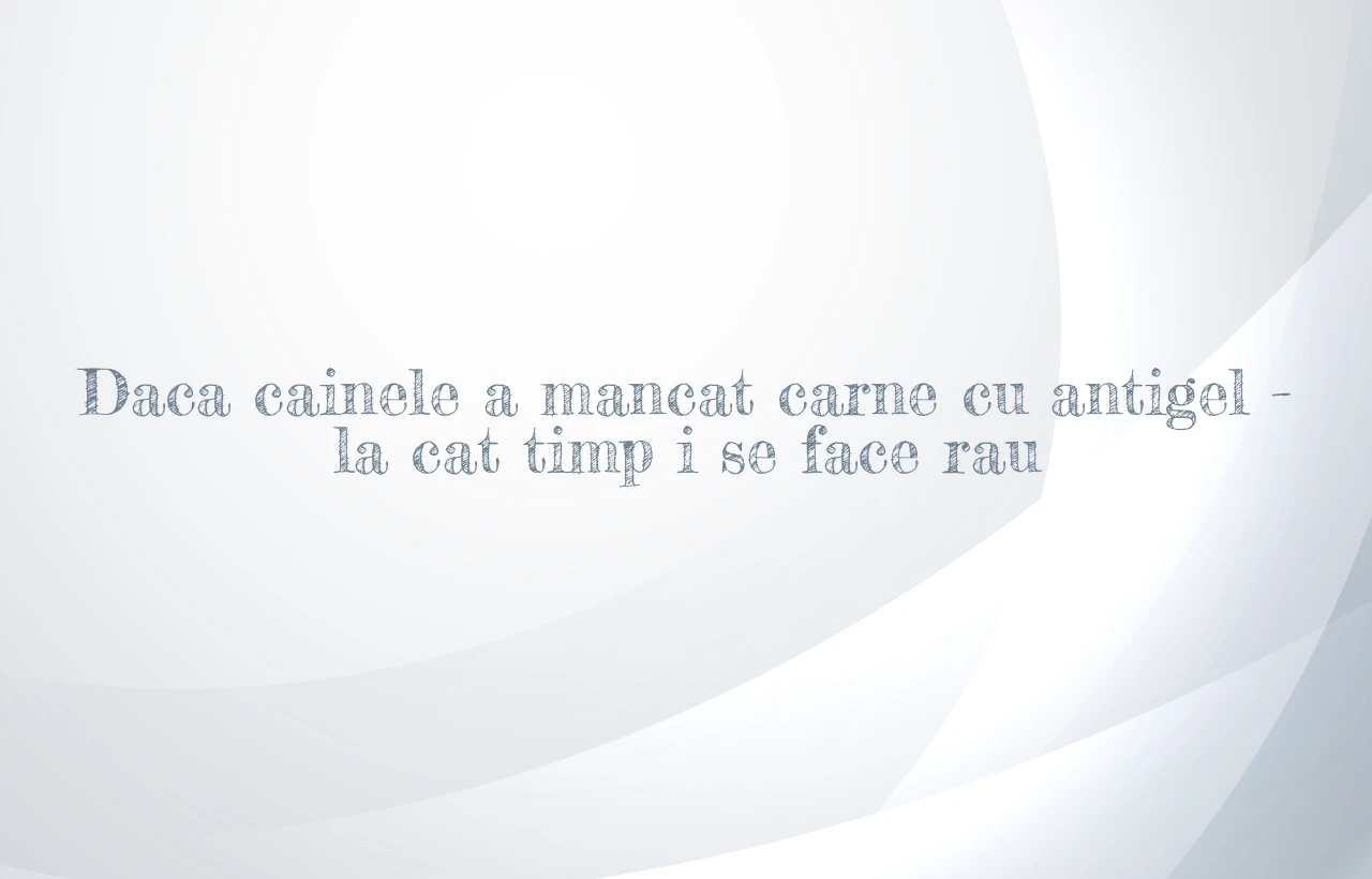 daca cainele a mancat carne cu antigel la cat timp i se face rau