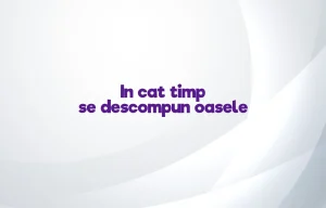 in cat timp se descompun oasele