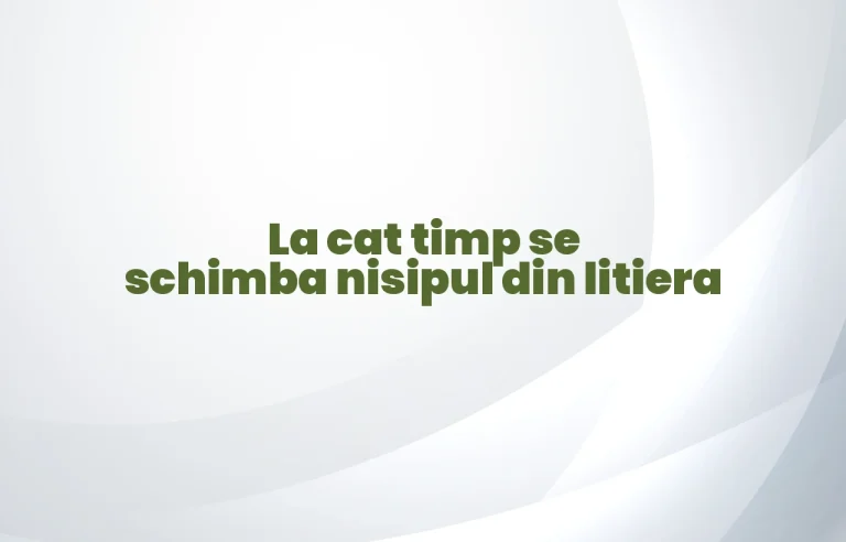 la cat timp se schimba nisipul din litiera