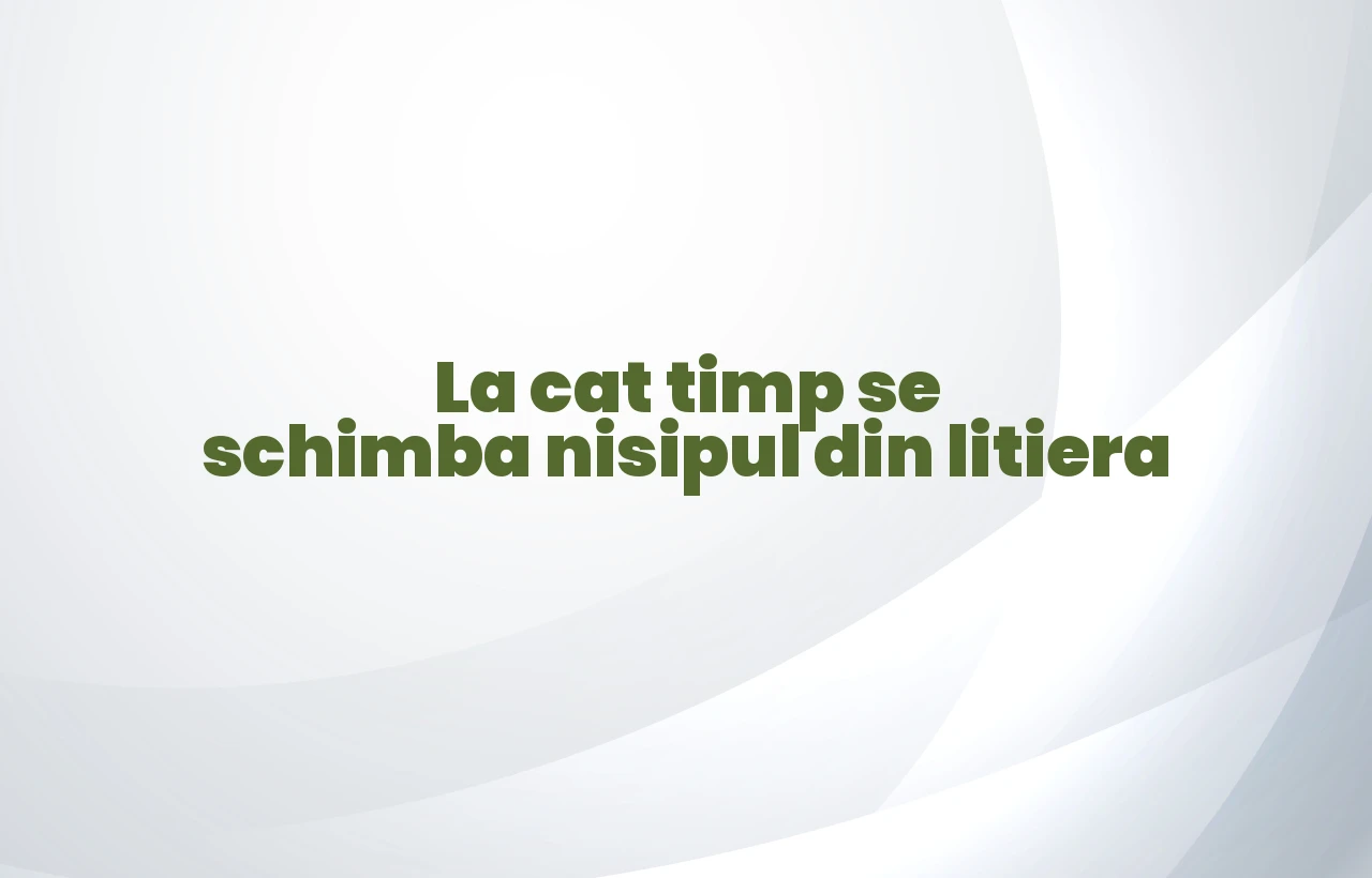 la cat timp se schimba nisipul din litiera