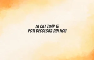 la cat timp te poti decolora din nou
