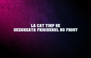 la cat timp se dezgheata frigiderul no frost