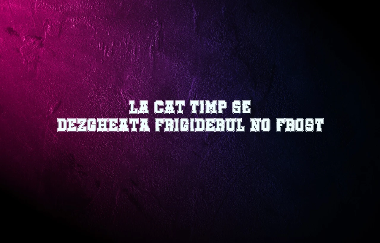 la cat timp se dezgheata frigiderul no frost