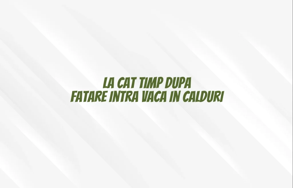 la cat timp dupa fatare intra vaca in calduri