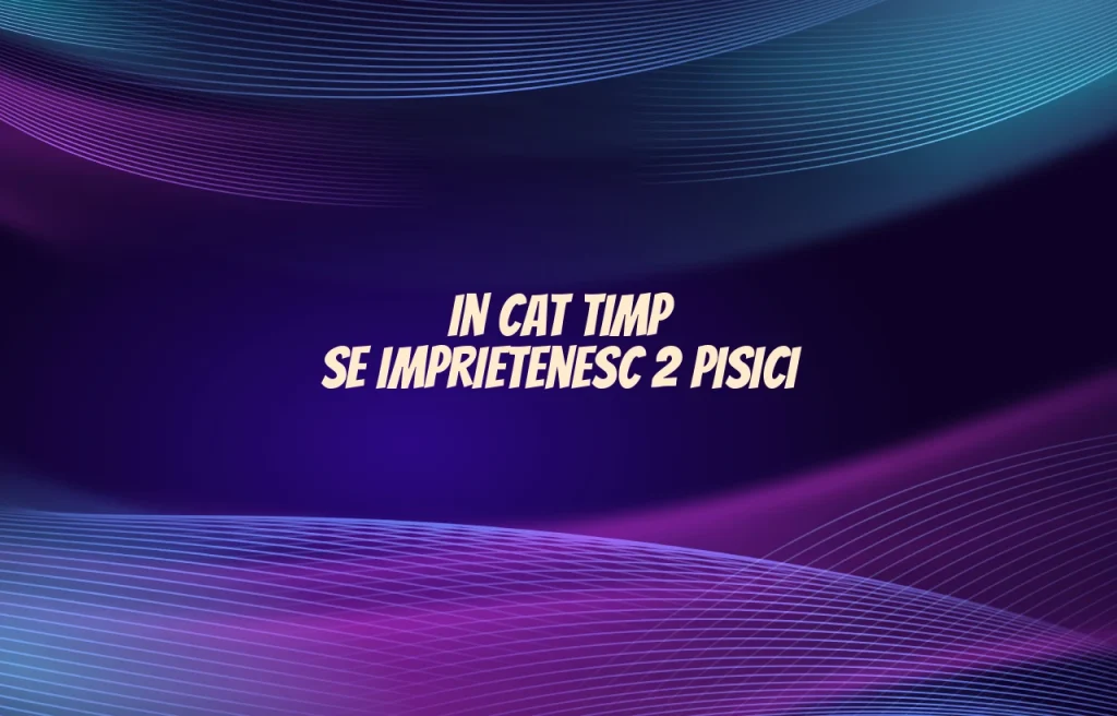 in cat timp se imprietenesc 2 pisici