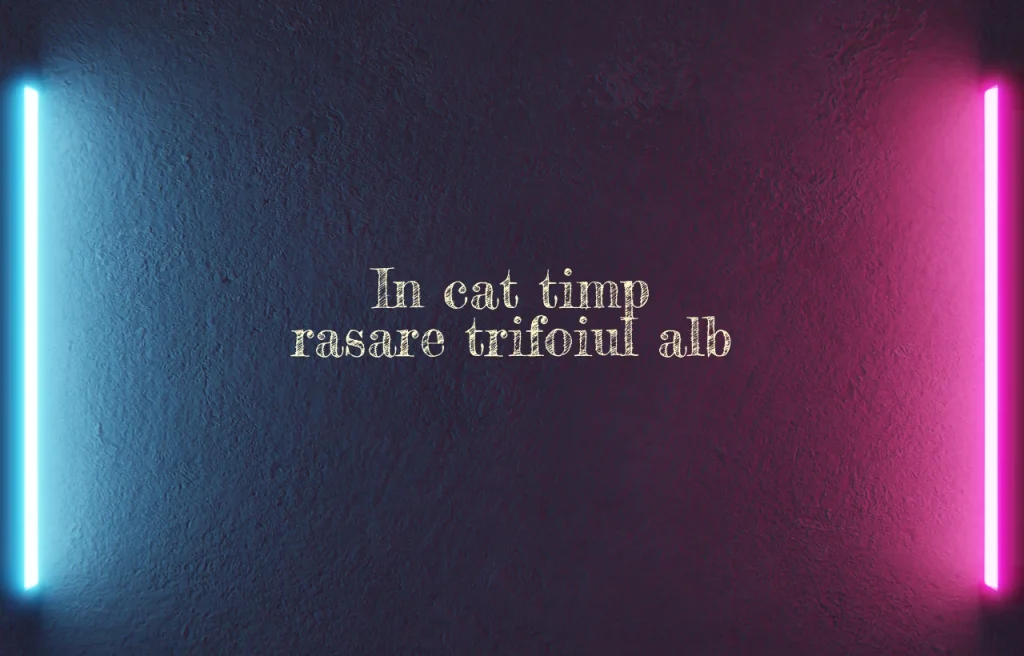 in cat timp rasare trifoiul alb