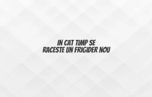 in cat timp se raceste un frigider nou