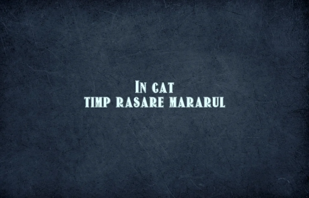 in cat timp rasare mararul