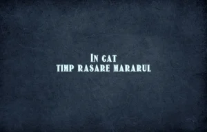 in cat timp rasare mararul