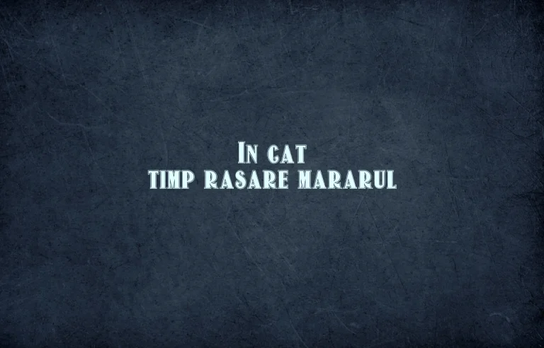 in cat timp rasare mararul