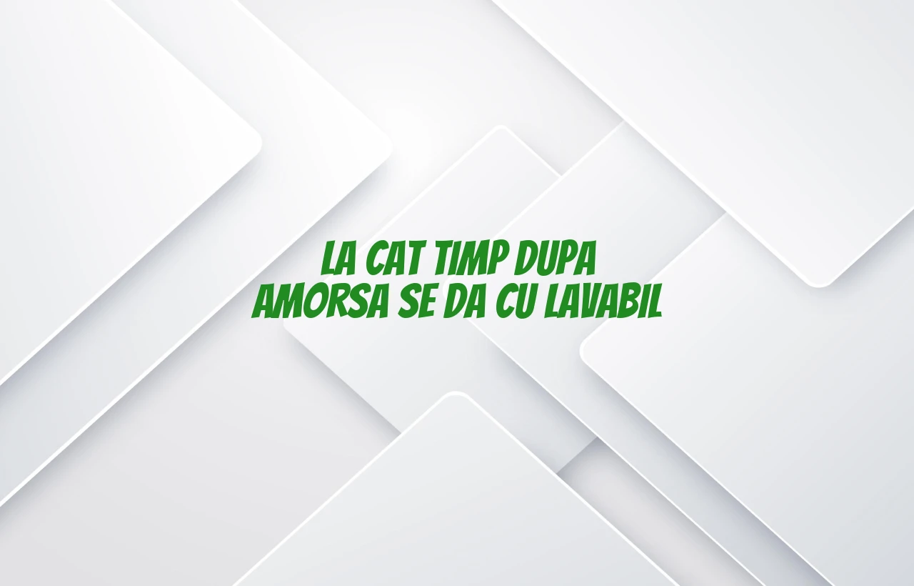 la cat timp dupa amorsa se da cu lavabil