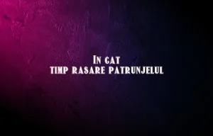 in cat timp rasare patrunjelul
