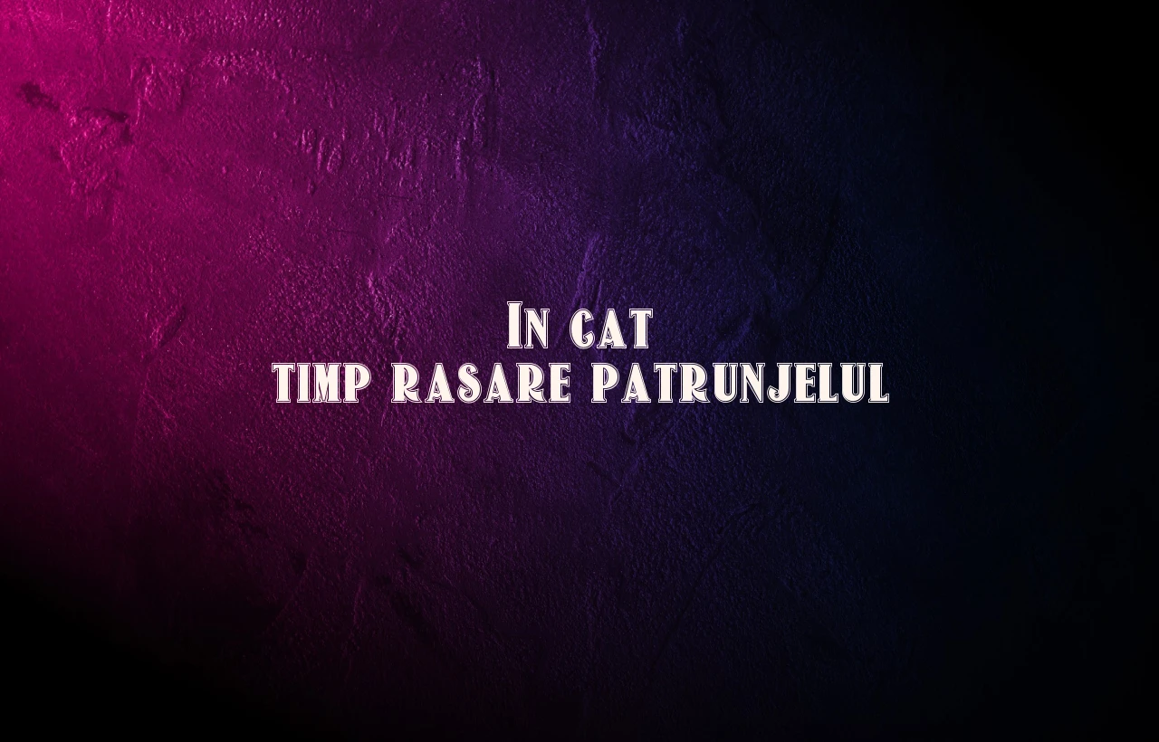 in cat timp rasare patrunjelul