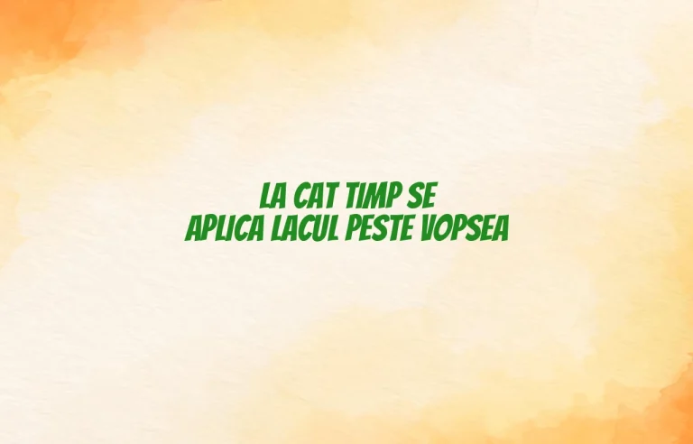 la cat timp se aplica lacul peste vopsea