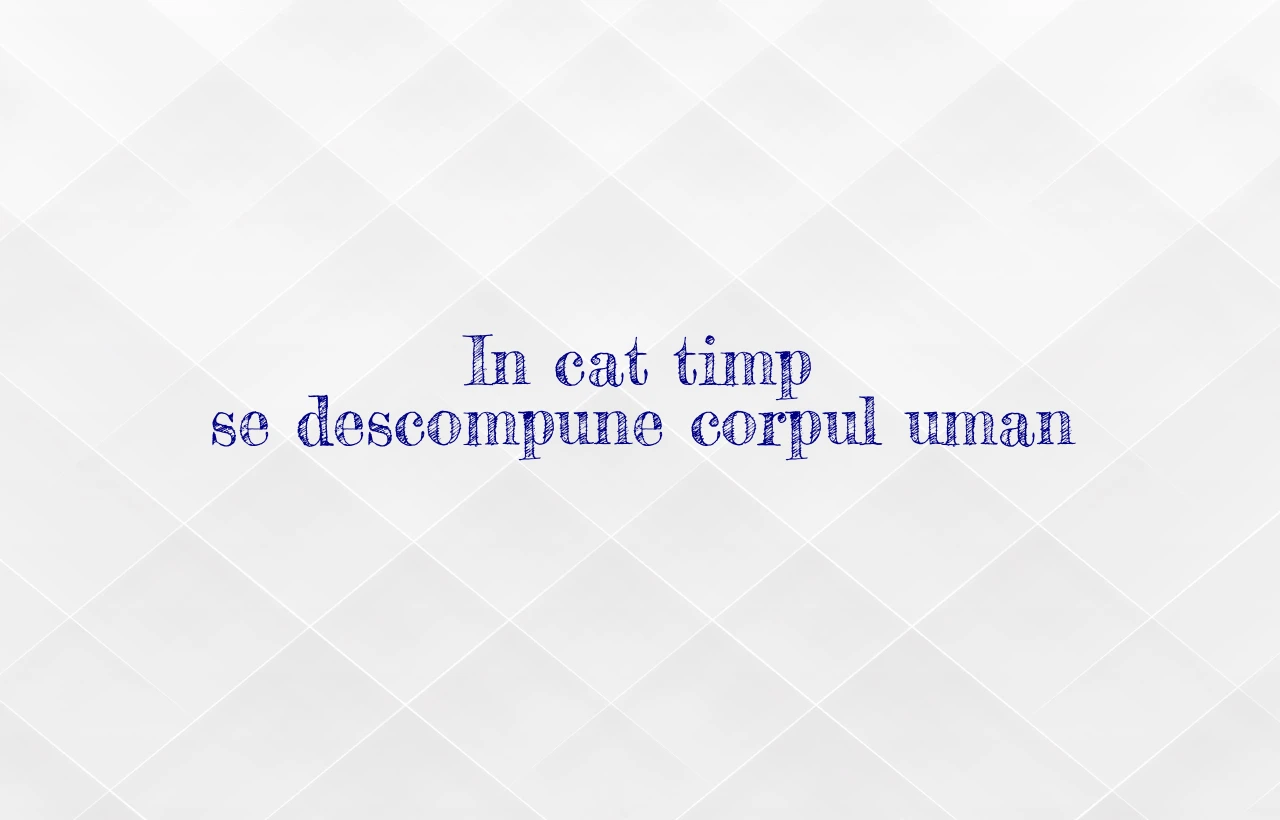 in cat timp se descompune corpul uman