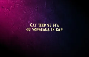 cat timp se sta cu vopseaua in cap