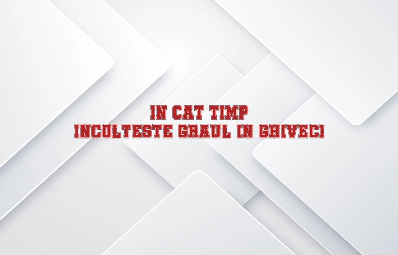 in cat timp incolteste graul in ghiveci