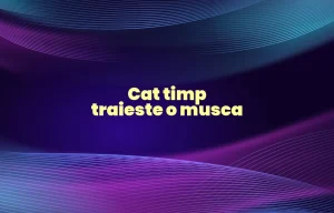 cat timp traieste o musca