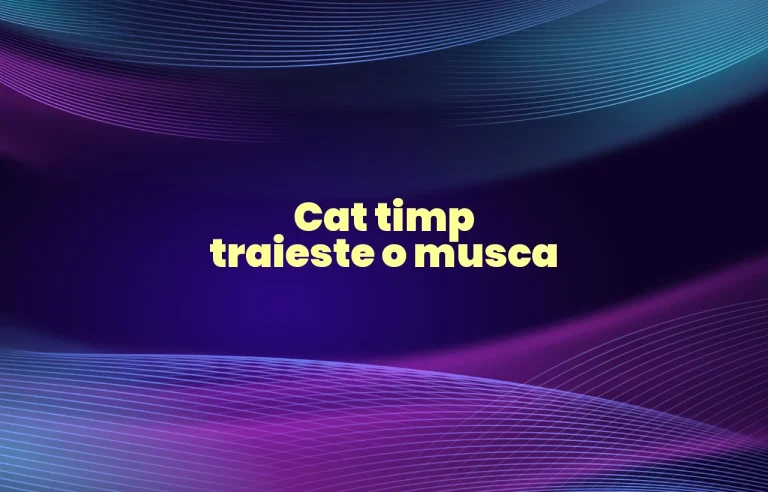 cat timp traieste o musca