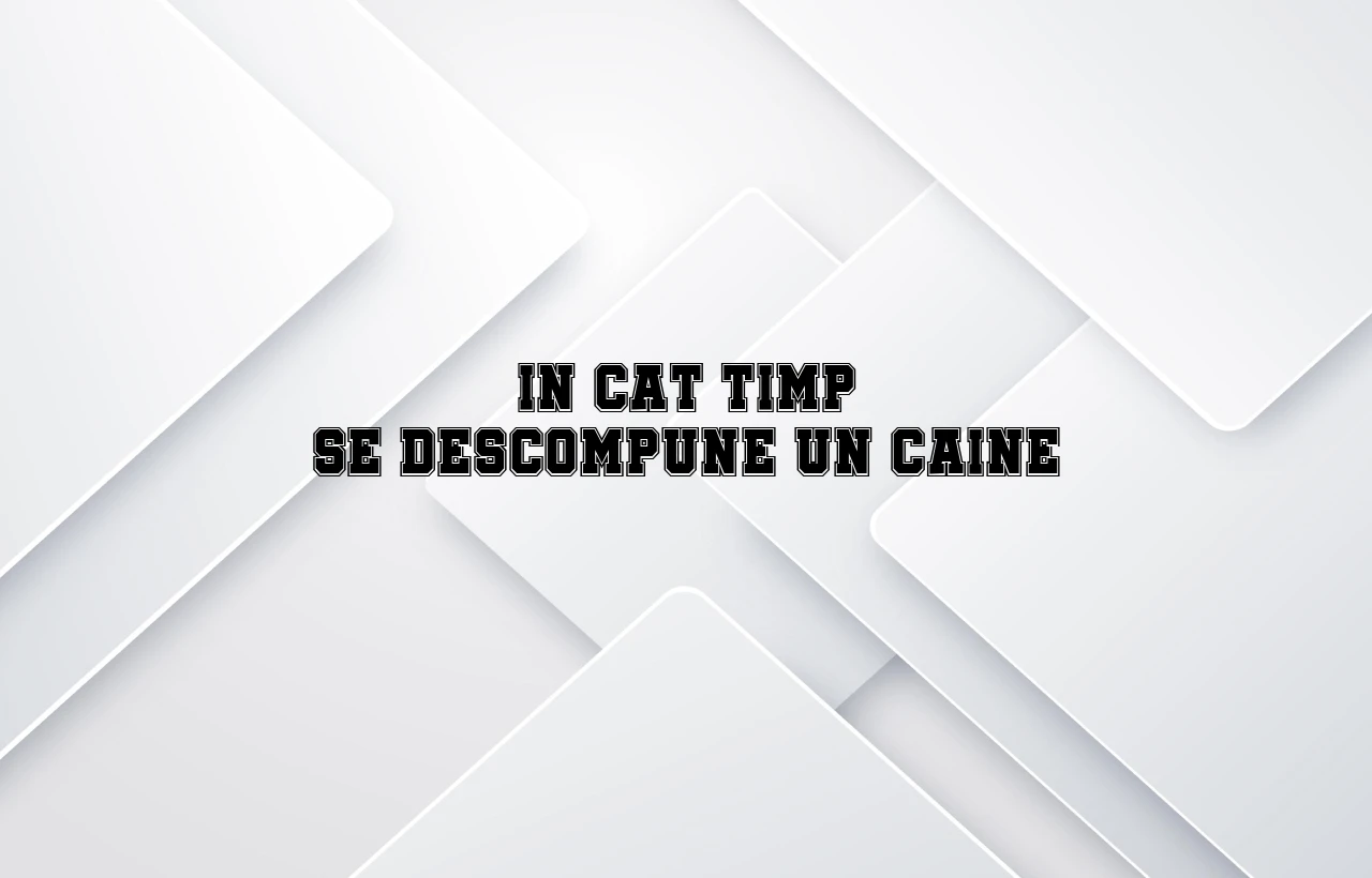 in cat timp se descompune un caine