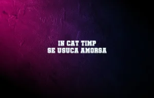 in cat timp se usuca amorsa