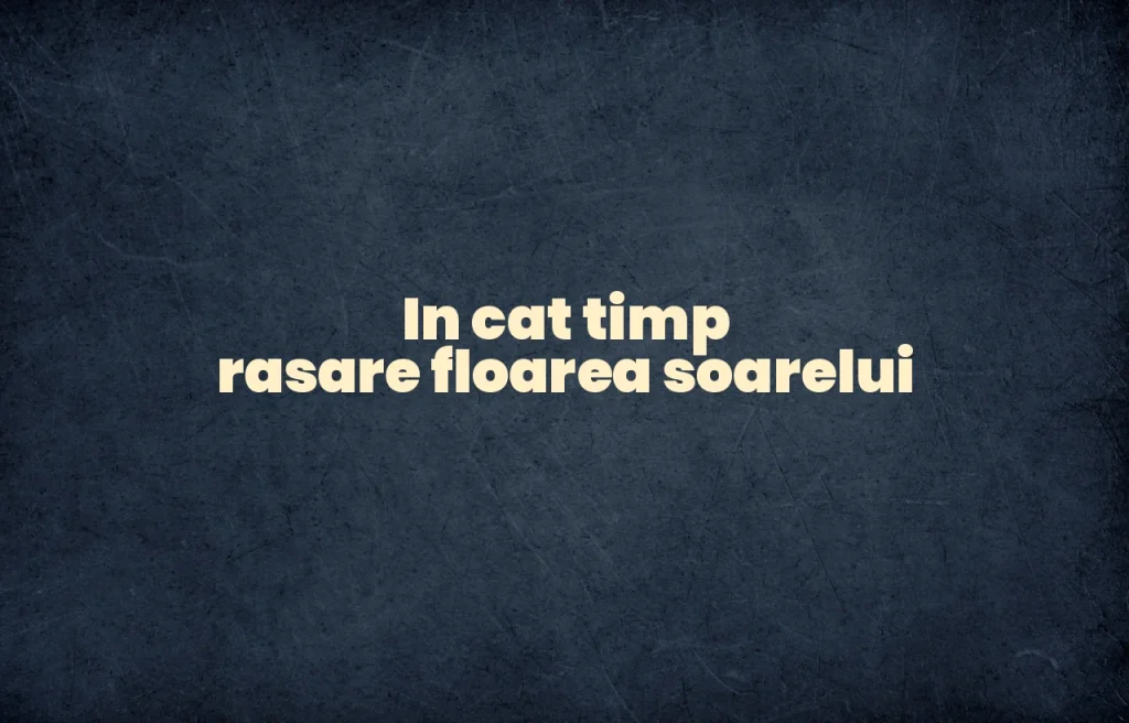 in cat timp rasare floarea soarelui