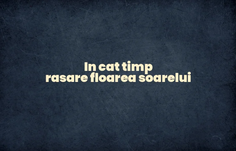 in cat timp rasare floarea soarelui