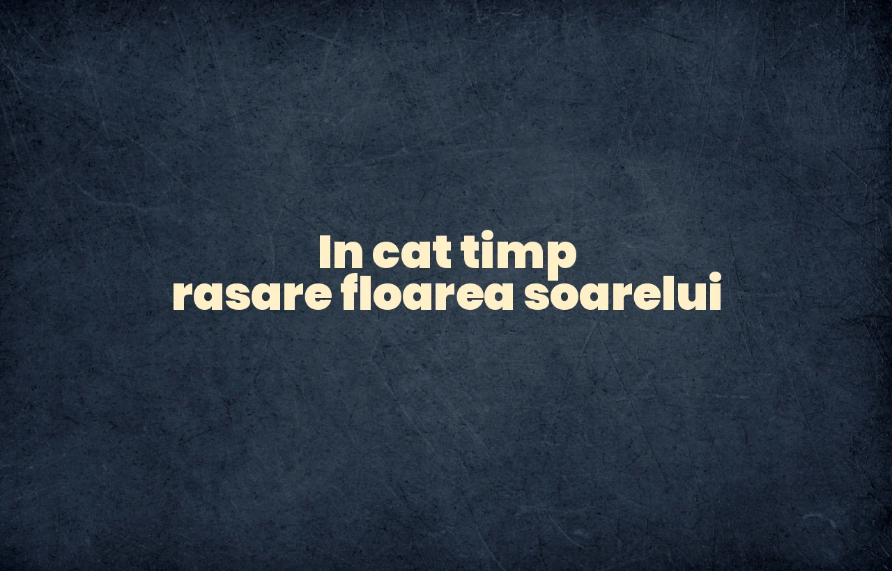 in cat timp rasare floarea soarelui