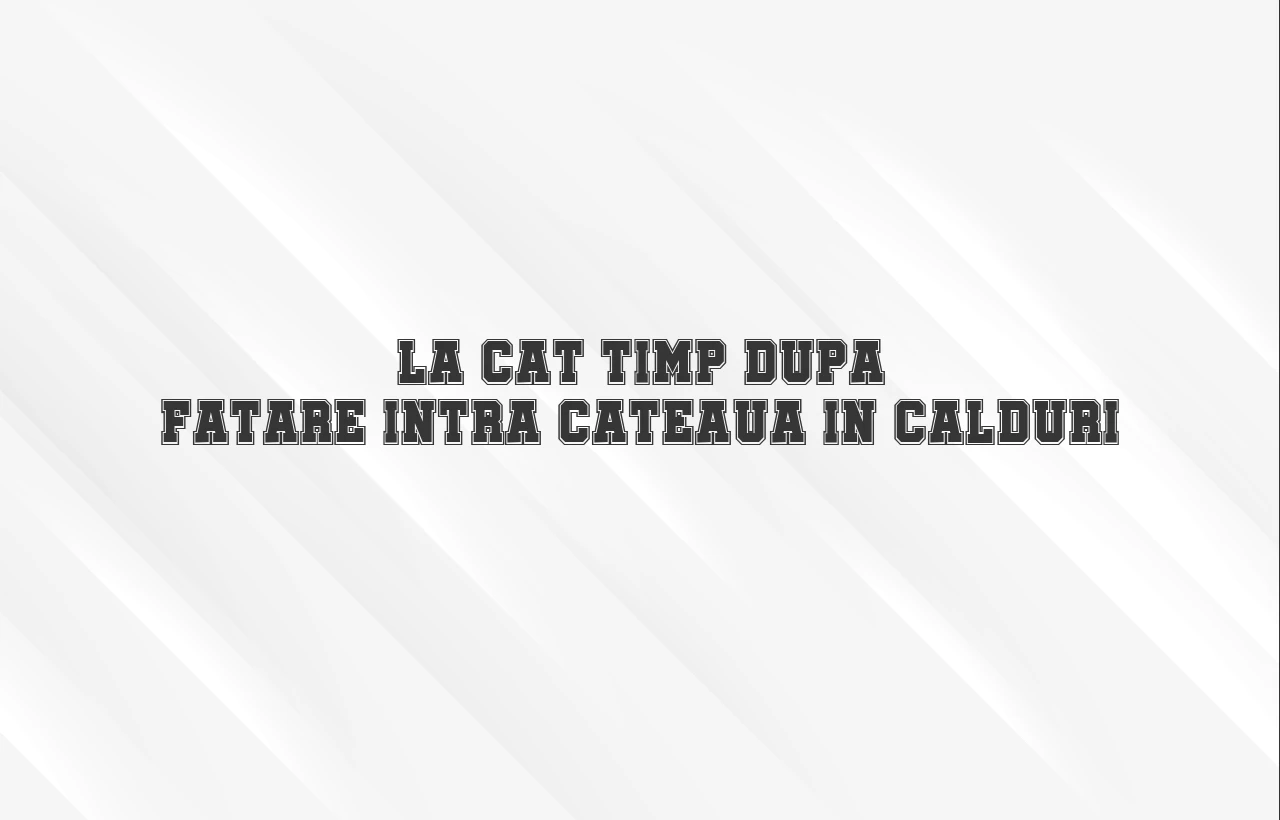 la cat timp dupa fatare intra cateaua in calduri