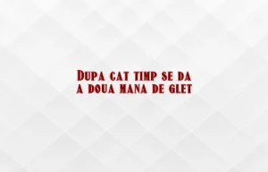 dupa cat timp se da a doua mana de glet
