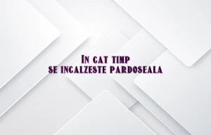 in cat timp se incalzeste pardoseala