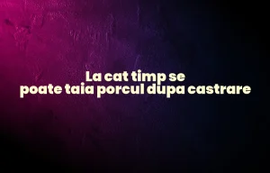 la cat timp se poate taia porcul dupa castrare