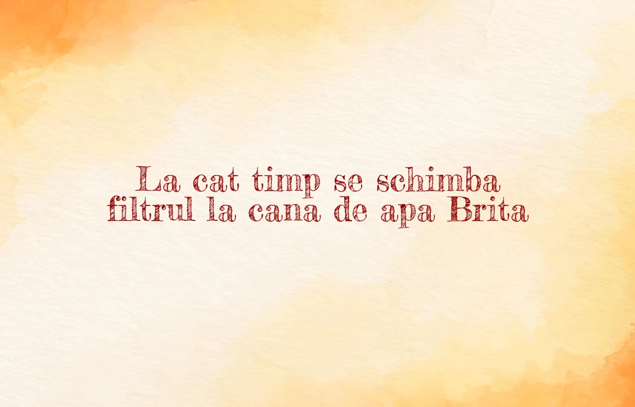 la cat timp se schimba filtrul la cana de apa brita