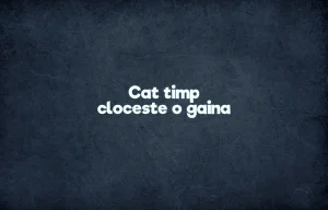 cat timp cloceste o gaina