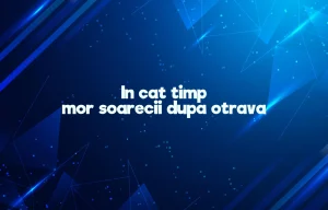 in cat timp mor soarecii dupa otrava