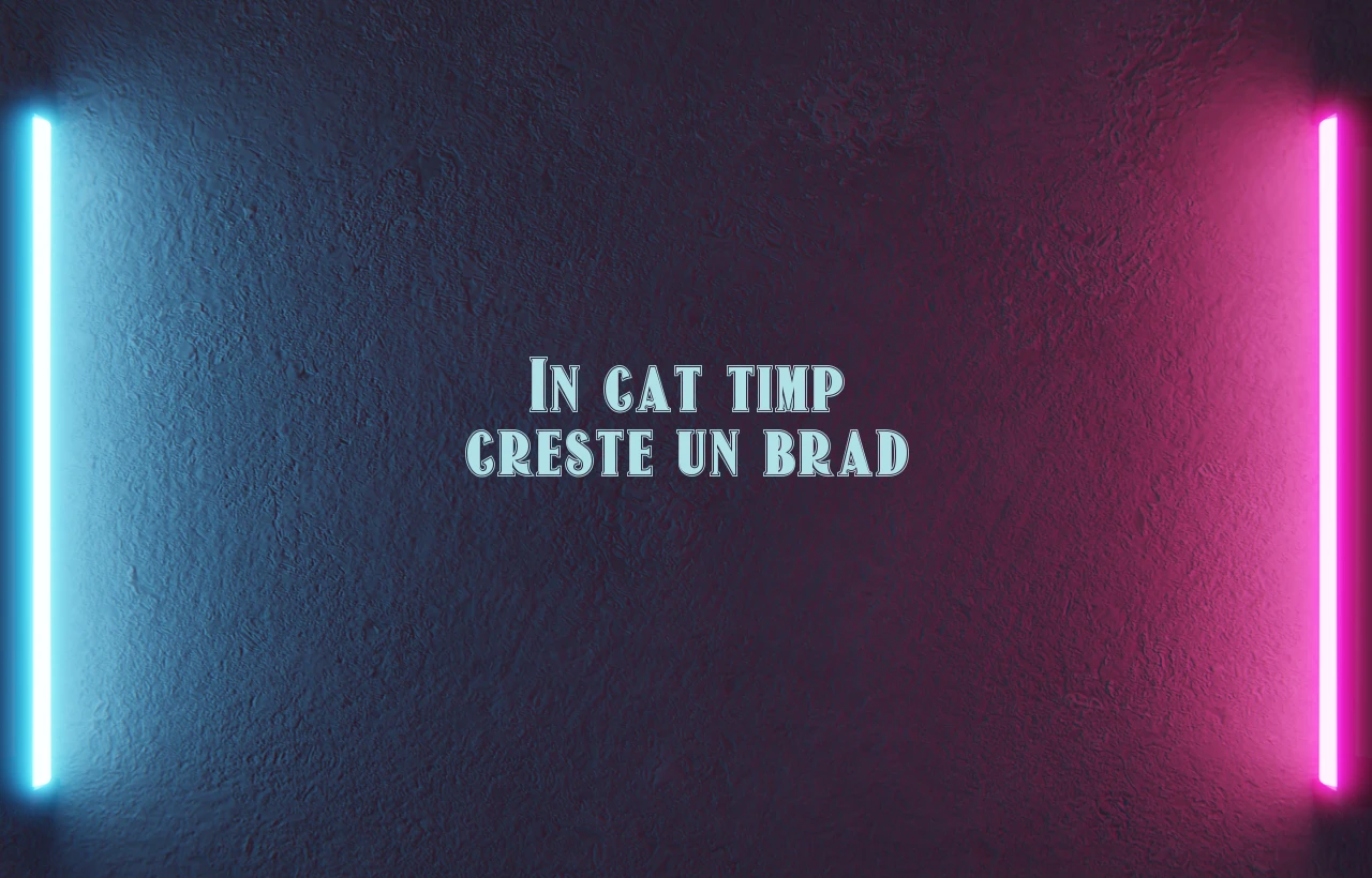 in cat timp creste un brad