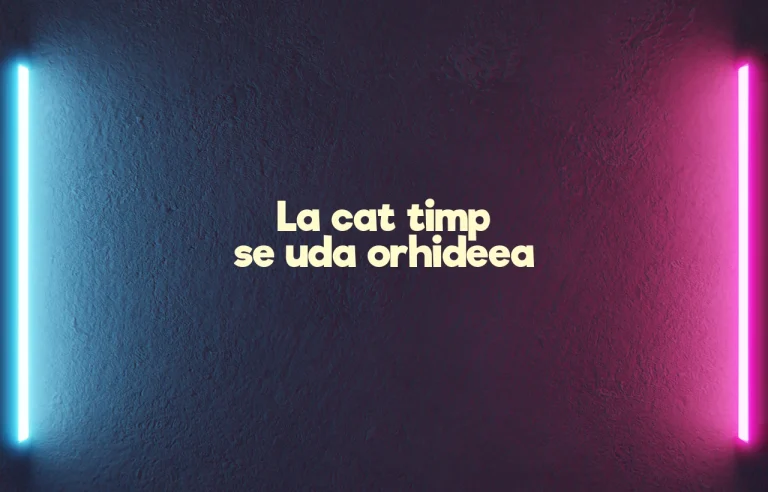 la cat timp se uda orhideea