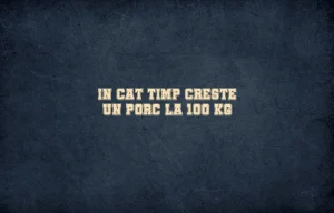 in cat timp creste un porc la 100 kg