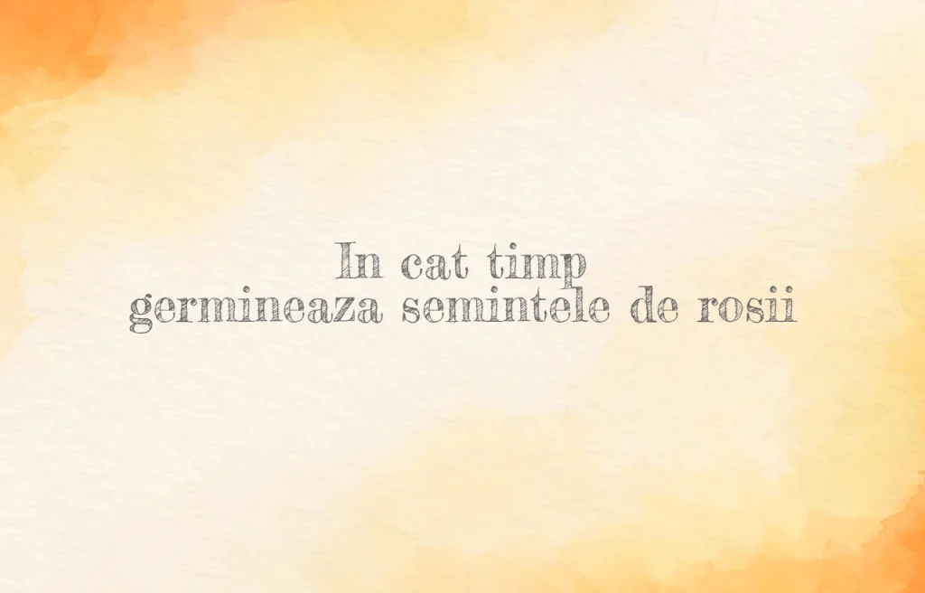 in cat timp germineaza semintele de rosii
