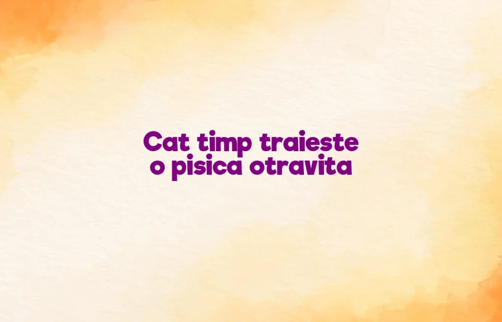 cat timp traieste o pisica otravita