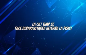 la cat timp se face deparazitarea interna la pisici