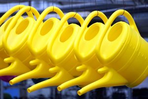 mospilan 3g cata apa pt trandafiri