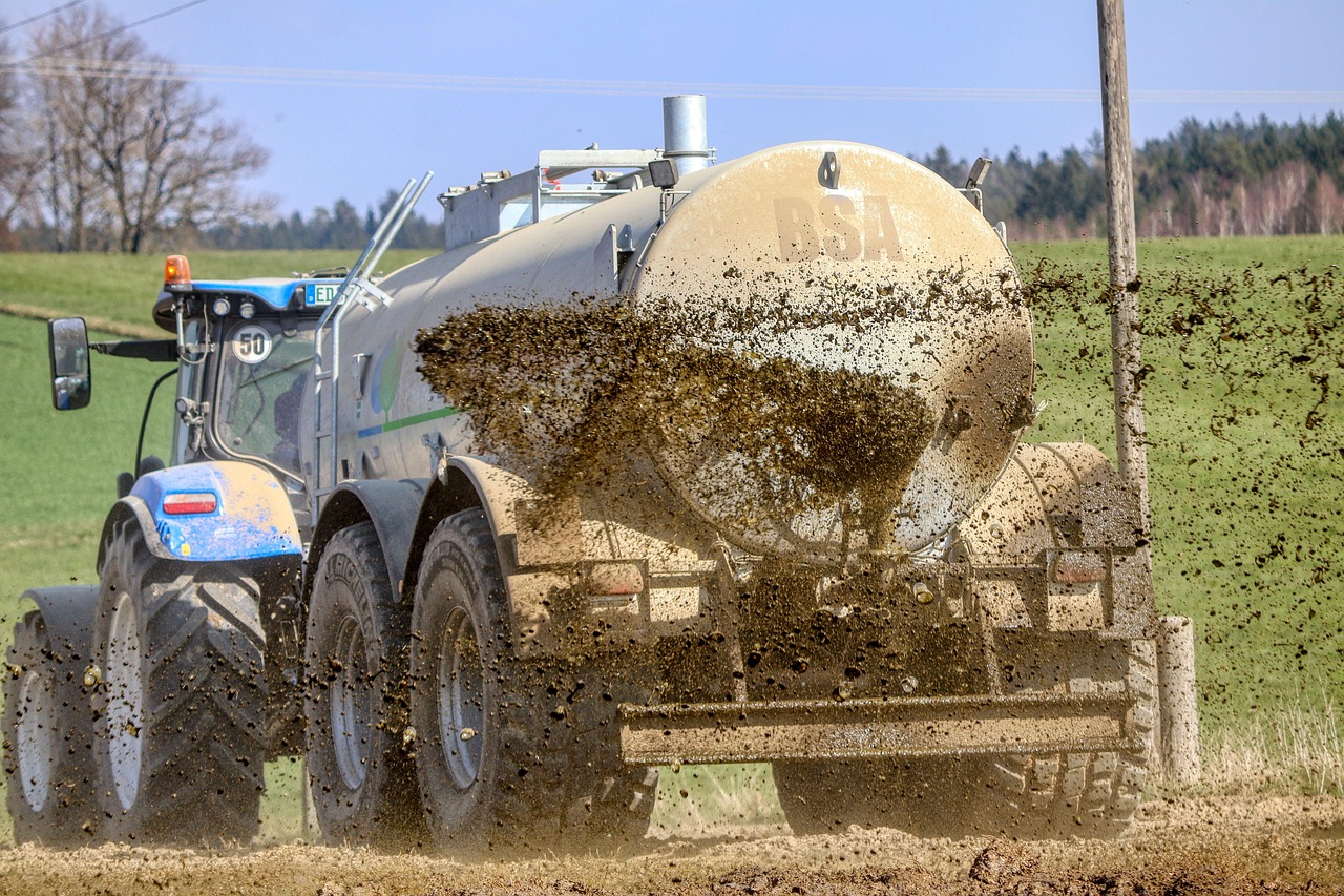cel mai bun ingrasamant pentru muscate